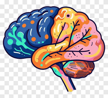 Colorful Brain Illustration PNG
