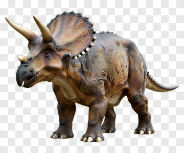 3D Triceratops Dinosaur Figure PNG