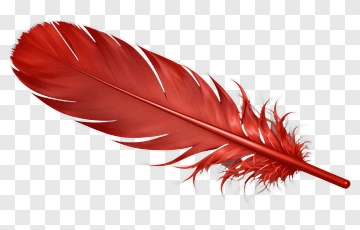 Red Feather PNG