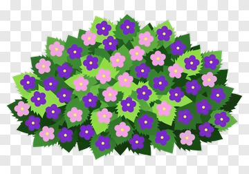 Colorful Flower Bouquet PNG