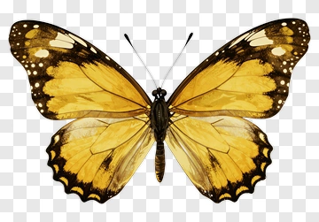 Realistic Yellow Butterfly PNG