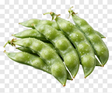 Fresh Edamame Pods PNG