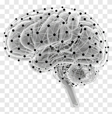 Brain Network Concept PNG