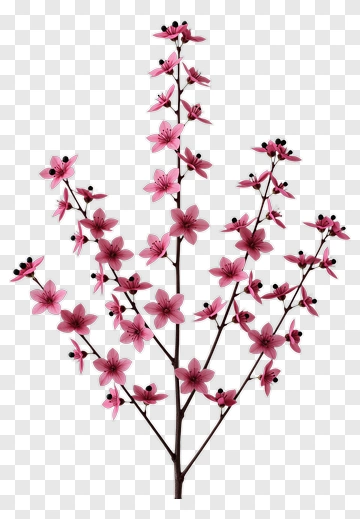 Pink Flower Branch PNG
