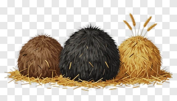 Hay Bales In Various Colors PNG