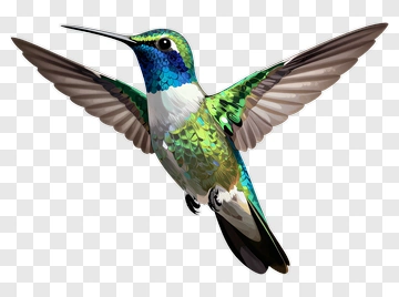 Colorful Hummingbird In Flight PNG