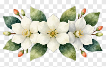 White Floral Arrangement With Green Leaves PNG