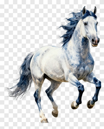 Galloping White Horse PNG