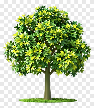 Colorful Tree With Green Leaves PNG