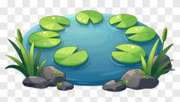 Cartoon Pond With Lily Pads And Rocks PNG