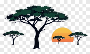 Silhouette Trees Against A Sunset PNG