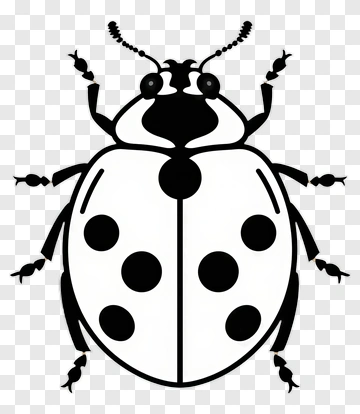 Black And White Ladybug Illustration PNG