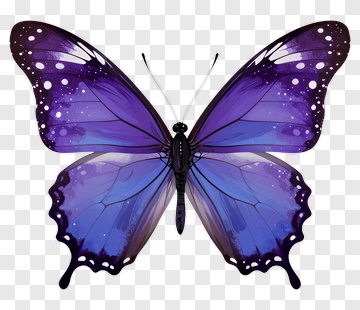 Colorful Butterfly With Purple And Blue Wings PNG