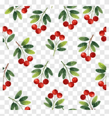 Watercolor Red Berries And Green Leaves Pattern PNG