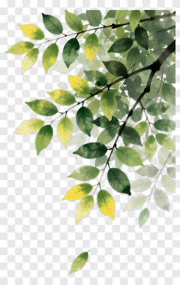 Colorful Leaves On A Branch PNG
