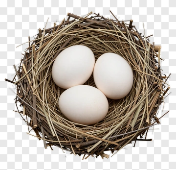 Nest With Three White Eggs PNG