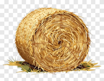Hay Bale PNG
