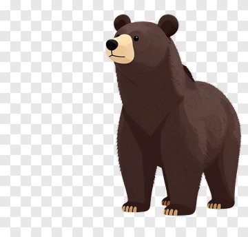 Cartoon Bear PNG