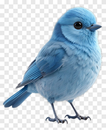 3D Blue Bird PNG