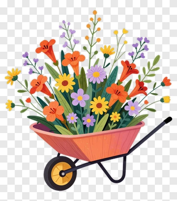 Colorful Wheelbarrow Filled With Flowers PNG