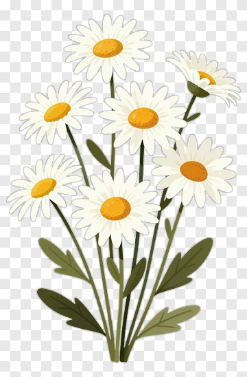 Flower Bouquet Of Daisies PNG