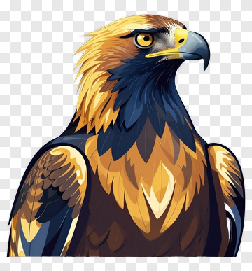 Golden Eagle Portrait PNG