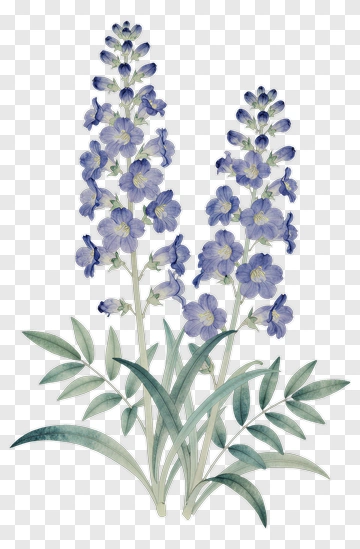 Watercolor Blue Flower Bouquet PNG