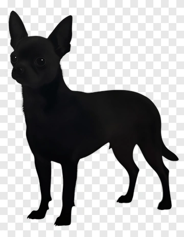 Black Chihuahua Dog PNG