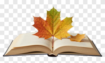 Open Book With Autumn Leaves PNG