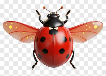 3D Ladybug With Colorful Wings PNG
