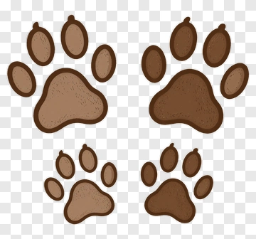 Brown Paw Prints PNG
