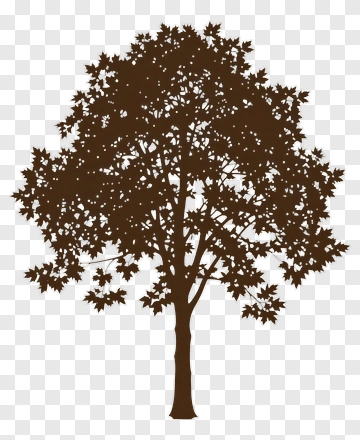 Brown Tree PNG