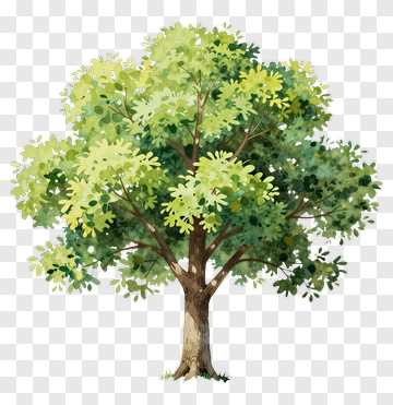Felt Tree PNG
