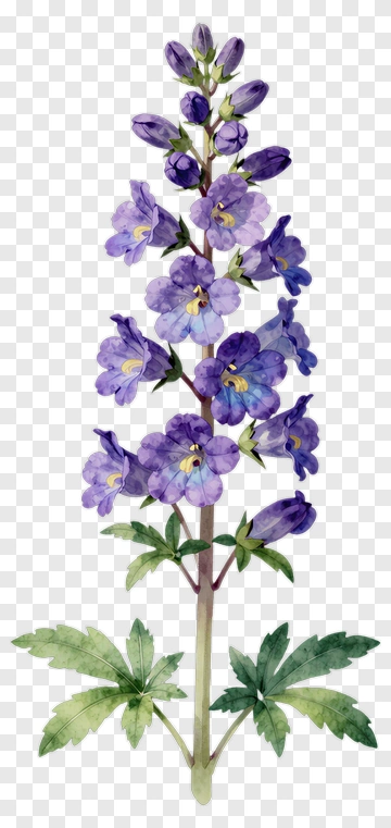 Watercolor Purple Flower PNG