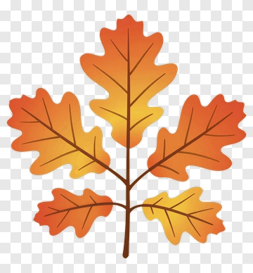 Colorful Autumn Leaves PNG