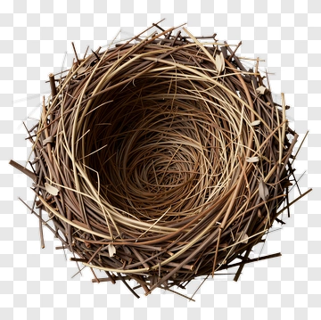 Bird's Nest Made Of Twigs And Straws PNG