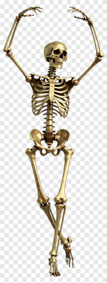 Cartoon Skeleton Dancing PNG
