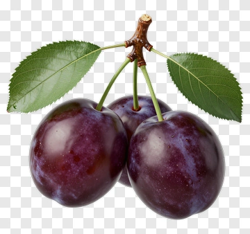 Fresh Plums With Leaves PNG