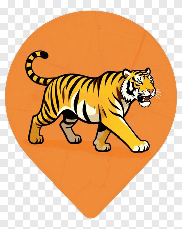 Cartoon Tiger Walking PNG