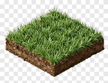 Square Patch Of Grass And Soil PNG