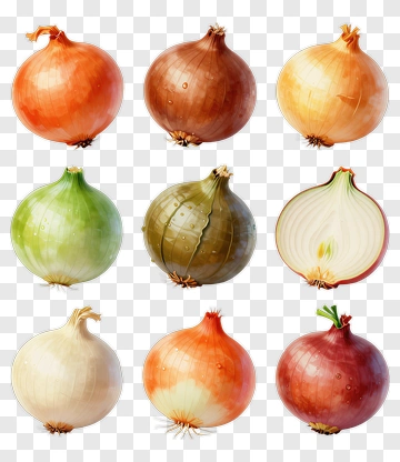 Variety Of Onions PNG