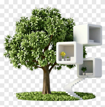 Tree With Modern Cubes And Steps PNG