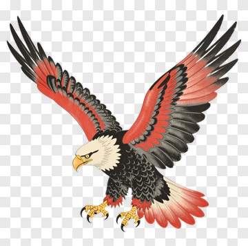 Colorful Eagle With Outstretched Wings PNG