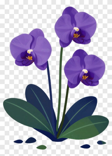 Purple Orchid Plant PNG