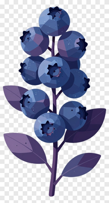 Blueberry Branch With Leaves PNG