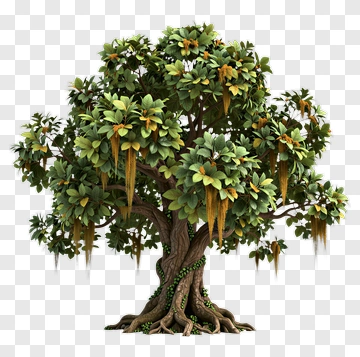 Detailed Tree With Lush Green Foliage PNG