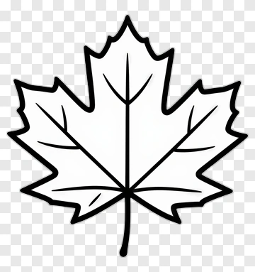 Outline Of A Maple Leaf PNG