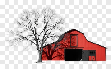 Red Barn And Leafless Tree PNG