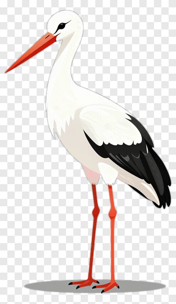 Cartoon Stork Standing PNG