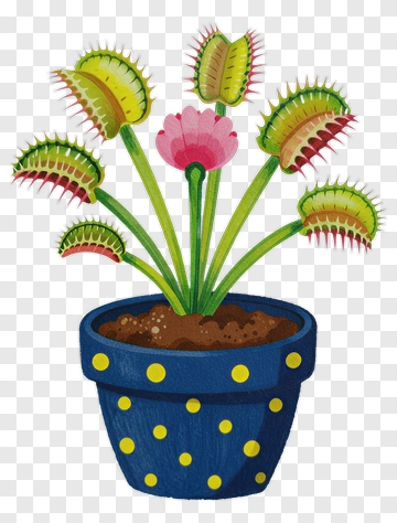 Colorful Venus Flytrap Plant In A Pot PNG